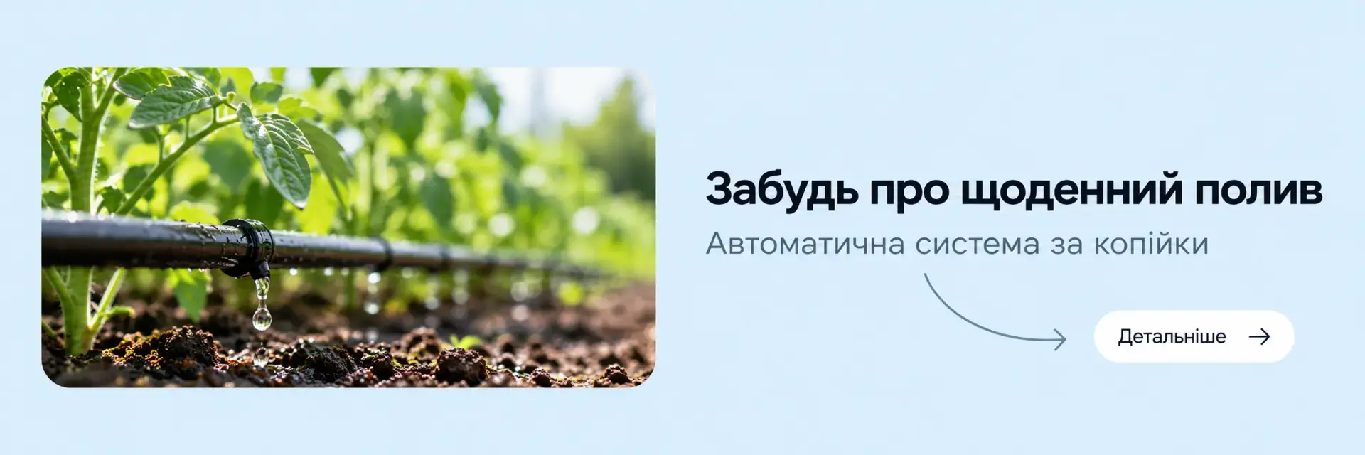 Банер